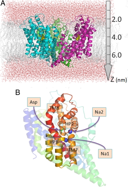 Fig. 1.