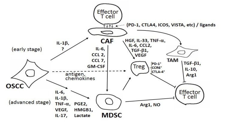 Fig. (1)