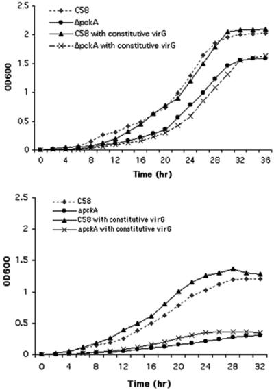 FIG. 2.