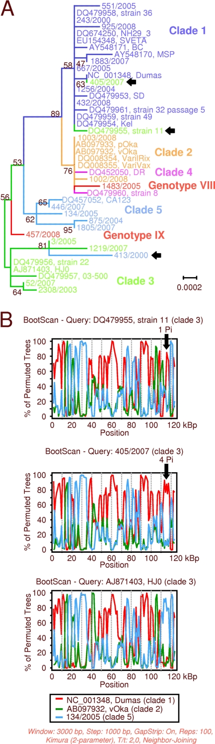 Fig 6