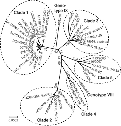 Fig 1