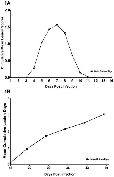 Fig 1.