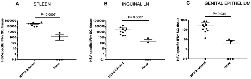 Fig 2.