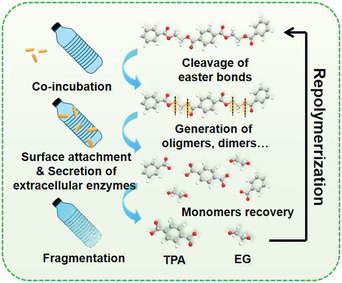 Figure 15