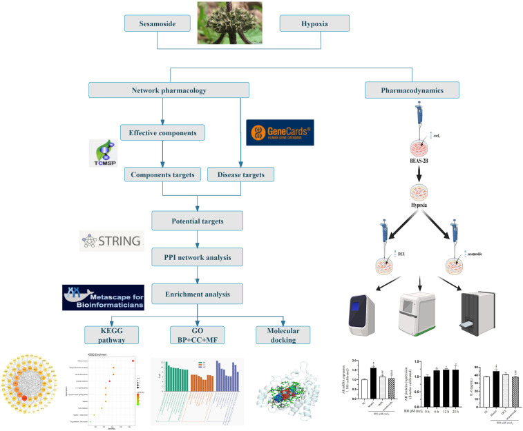 Graphical Abstract