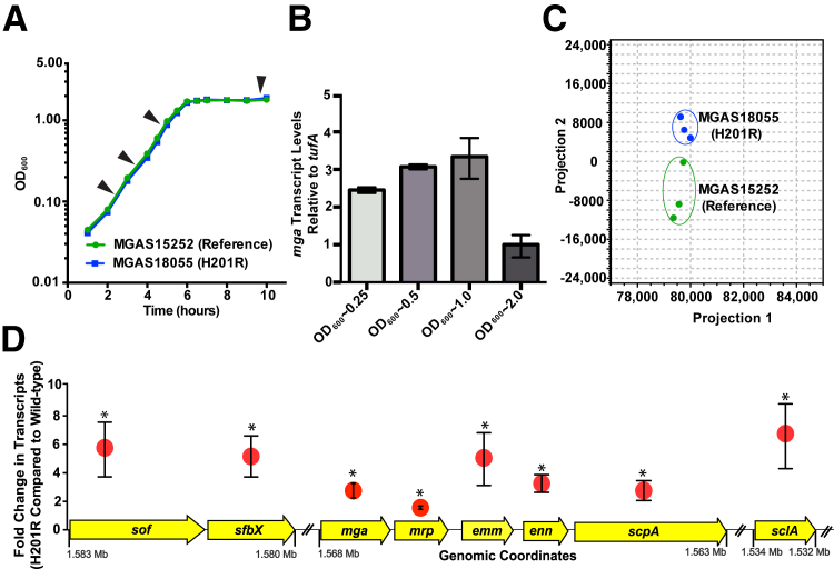 Figure 1