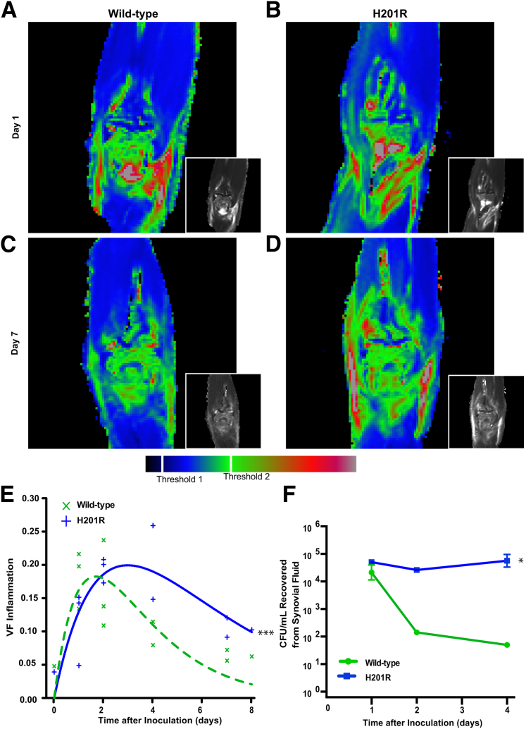 Figure 3