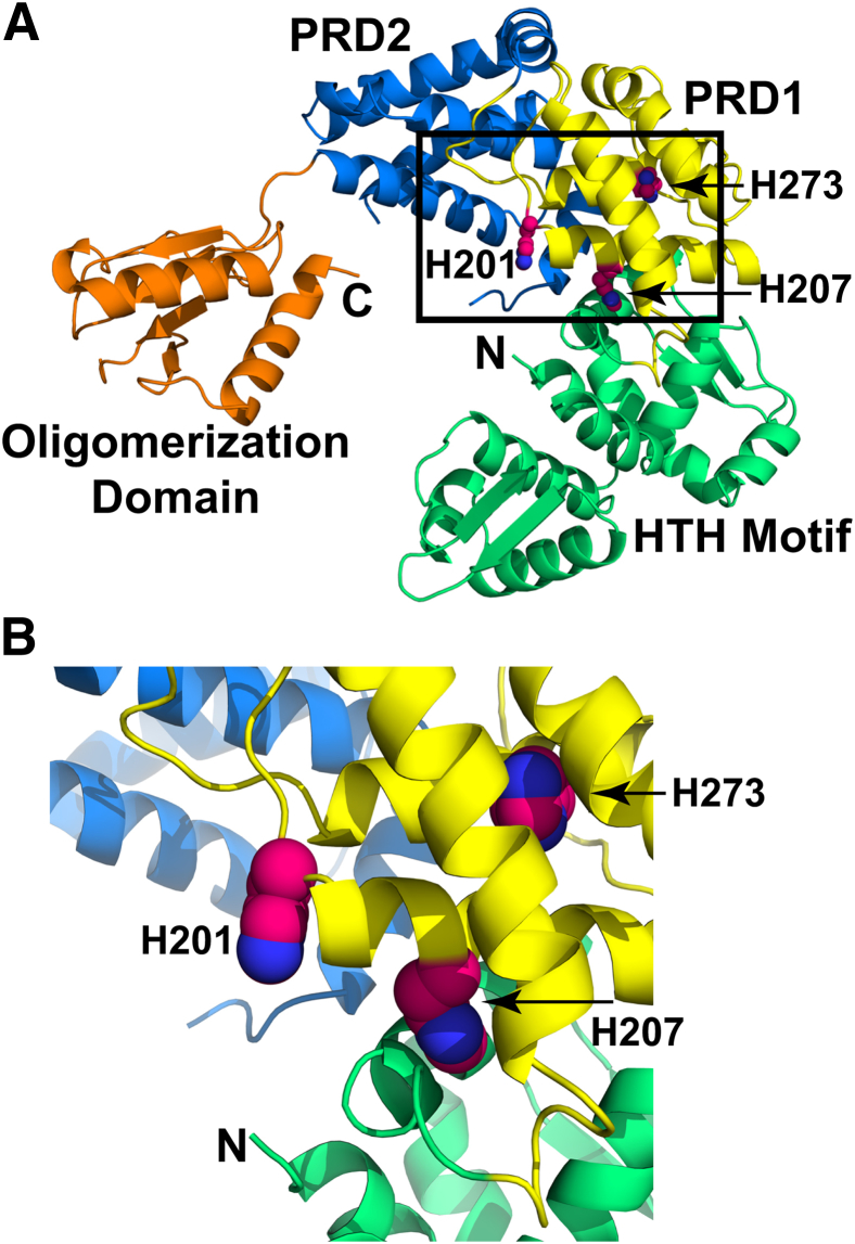 Figure 4