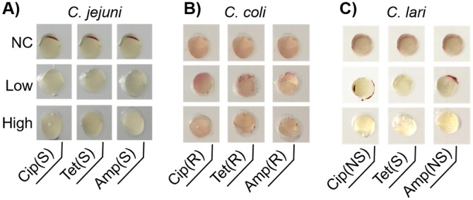 FIG 8