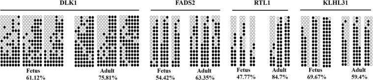 Fig. 7