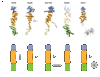 Fig. 4