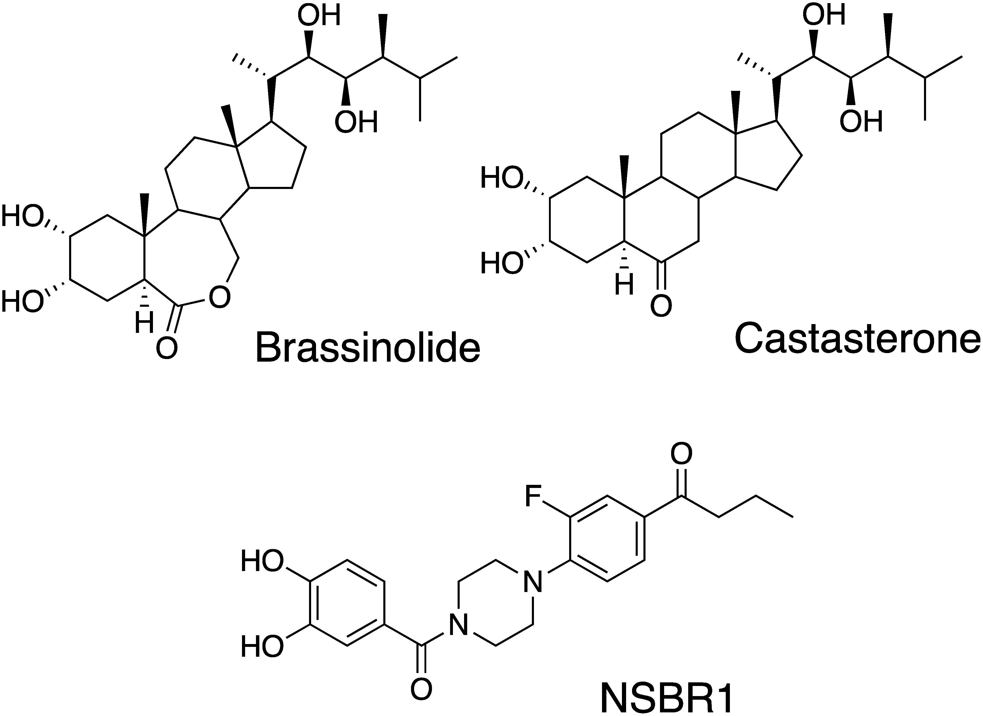 Fig. 1. Structures of brassinosteroids and an agonist (NSBR1).