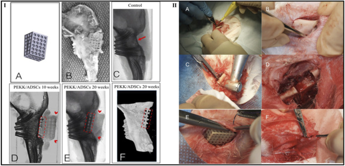 FIGURE 13