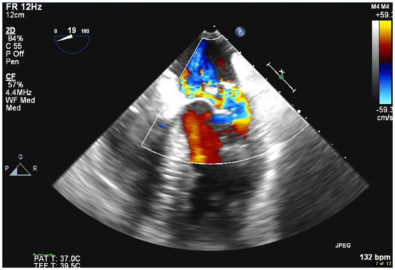 Figure 7