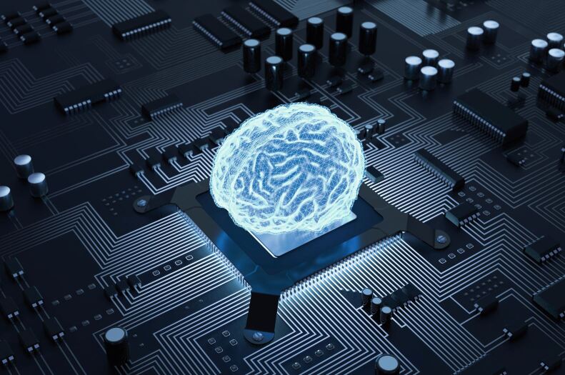 graphic file with name 35128_2021_847_Fig1_HTML.jpg