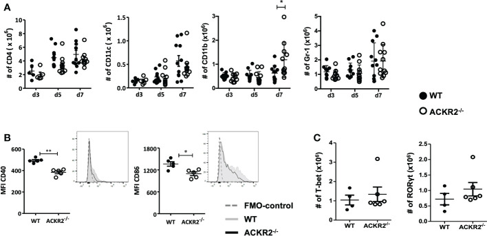 Figure 5