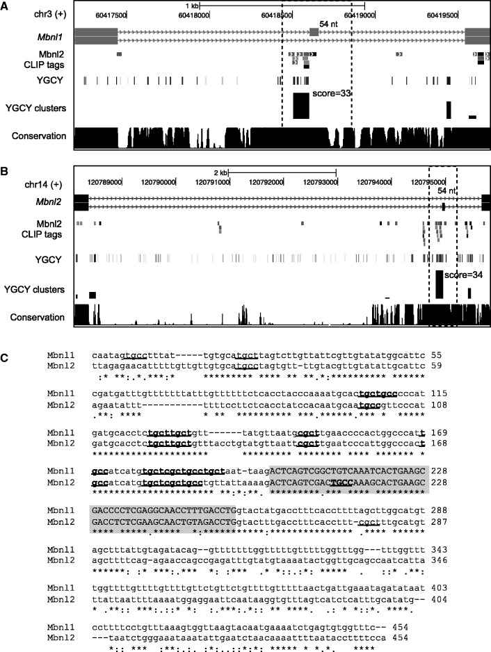 Figure 6.