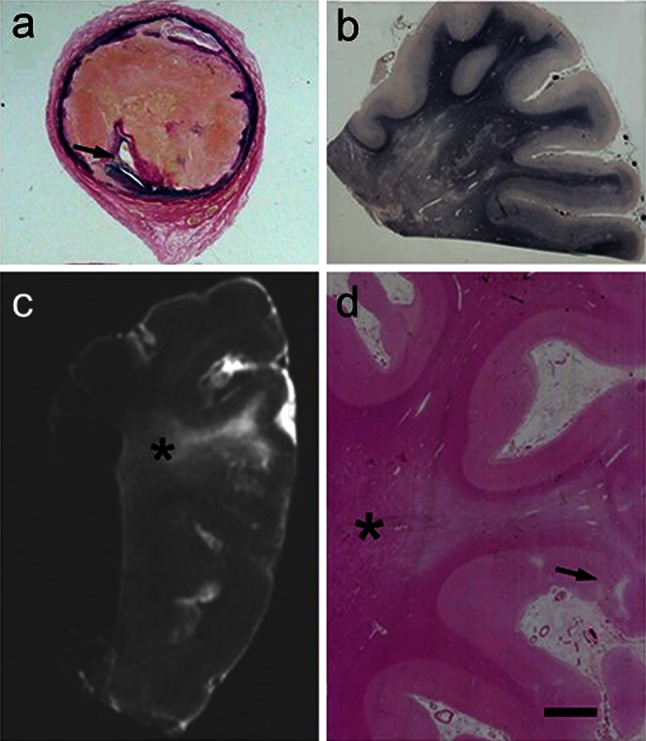 Fig. 5