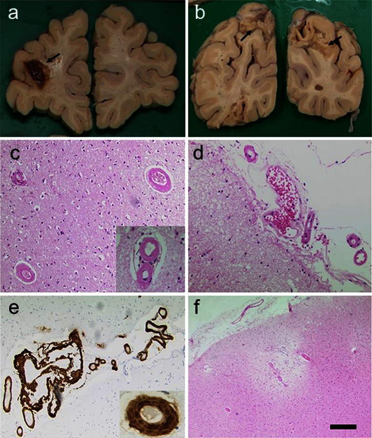 Fig. 6