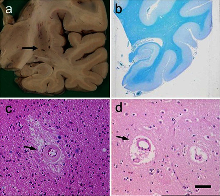 Fig. 4