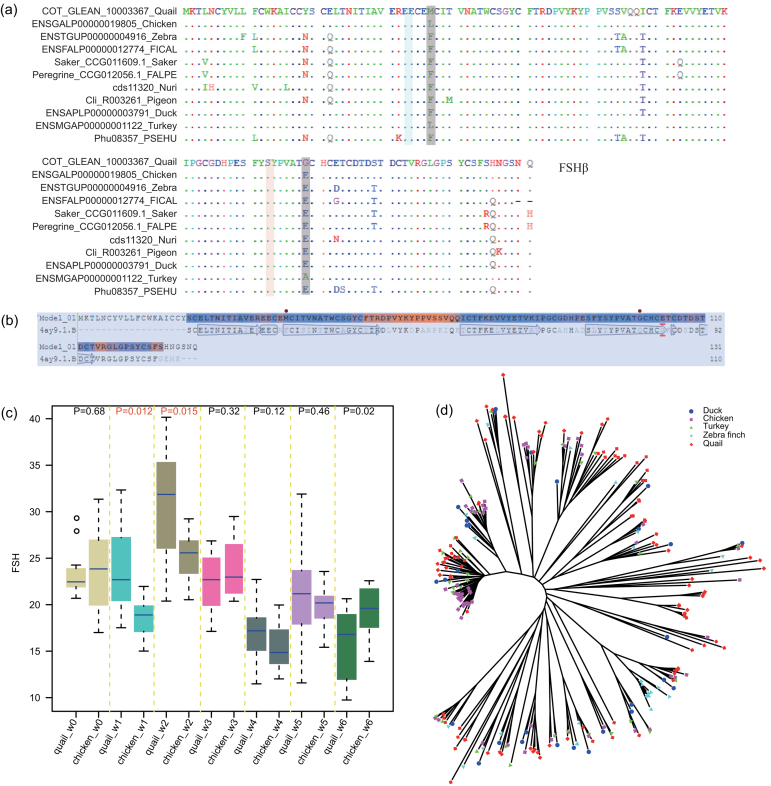 Figure 4: