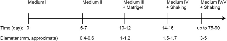 Fig 1.