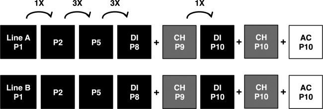 FIG 1