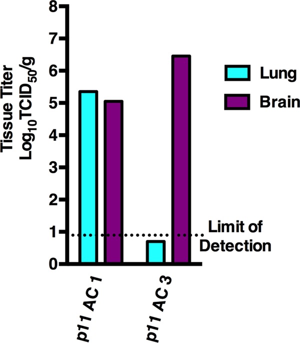 FIG 5