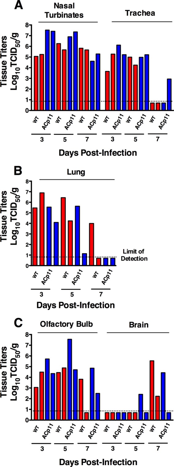 FIG 6