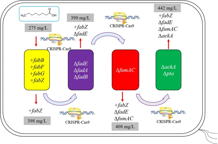 Fig. 3