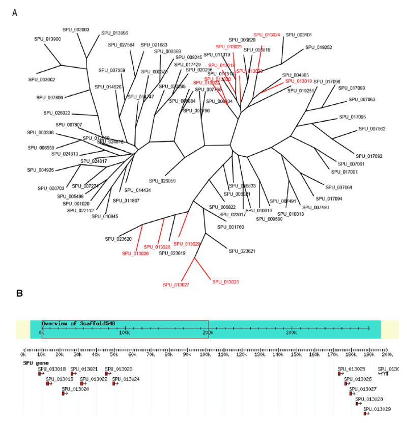 Figure 11