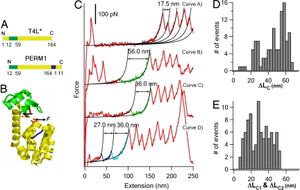 Fig. 4.