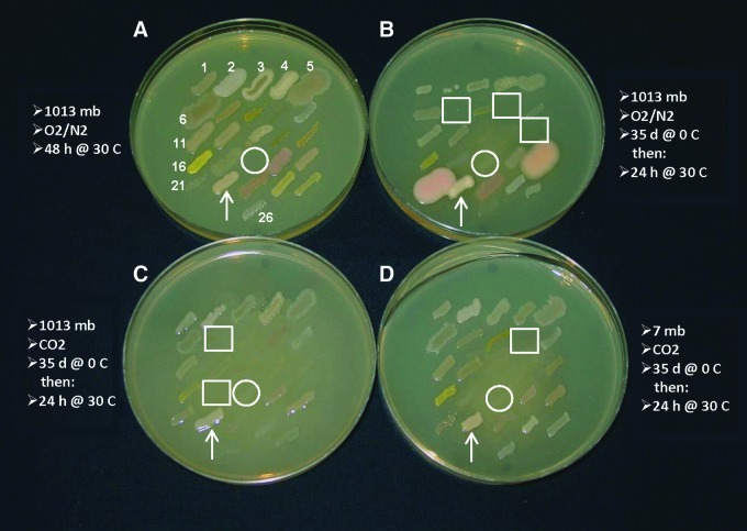 FIG. 4.