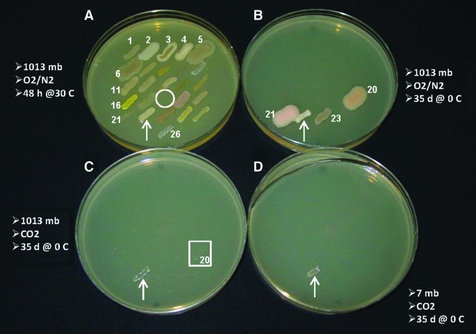 FIG. 3.