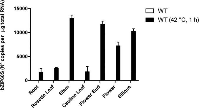 Fig 5