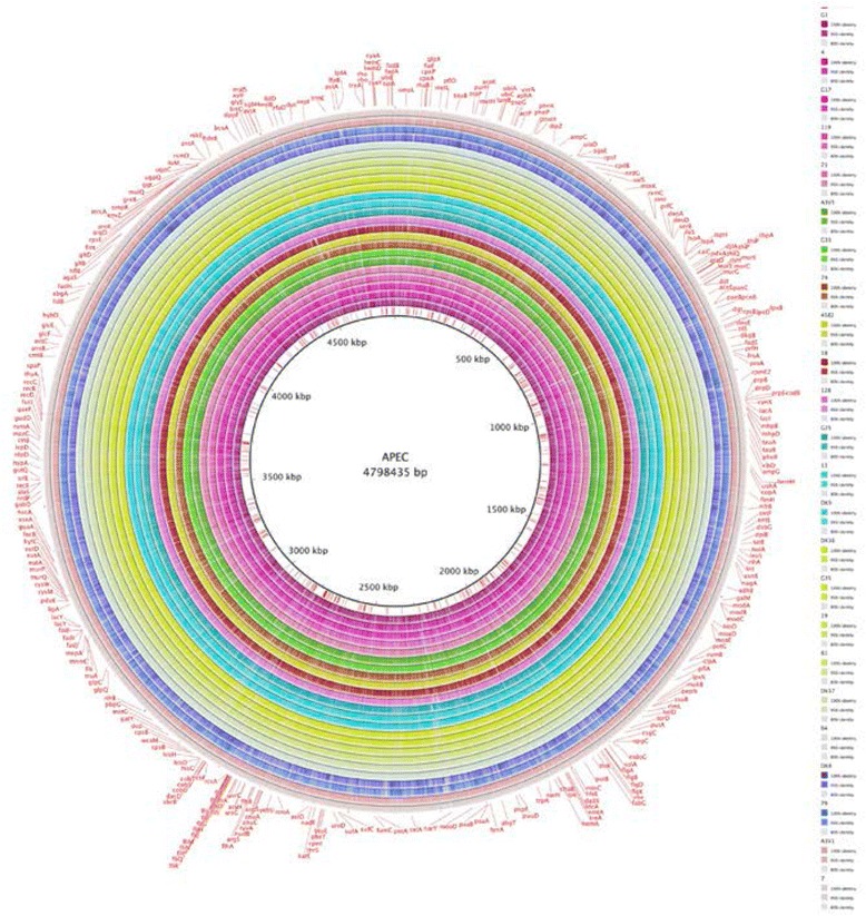 Fig. 2