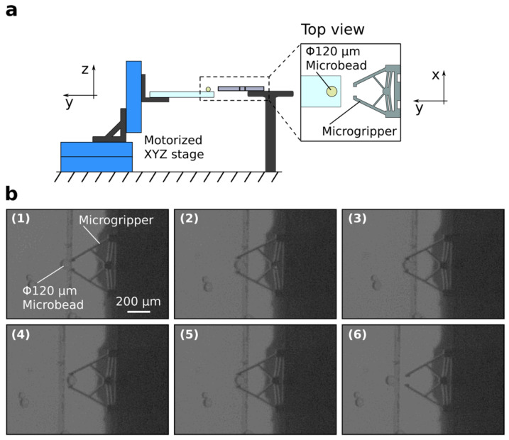 Figure 16