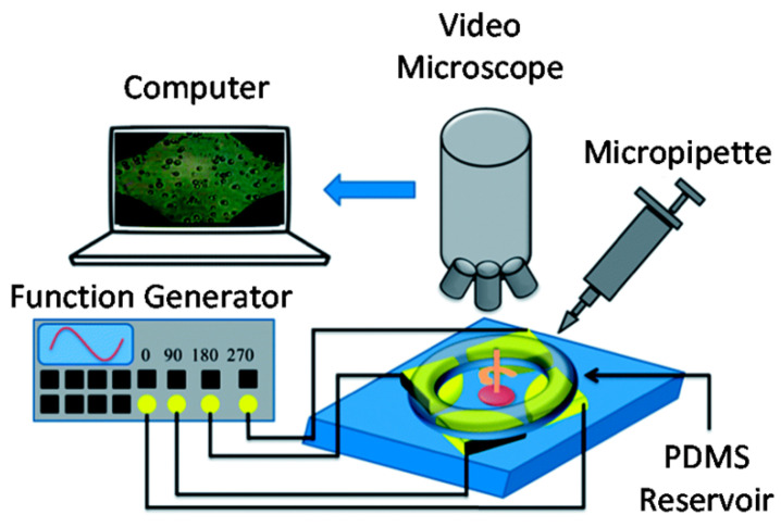 Figure 18