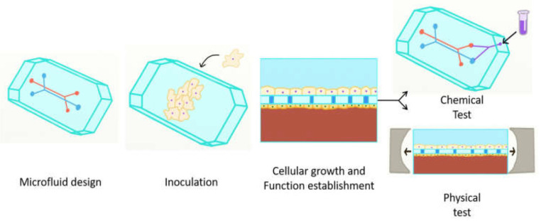 Figure 19