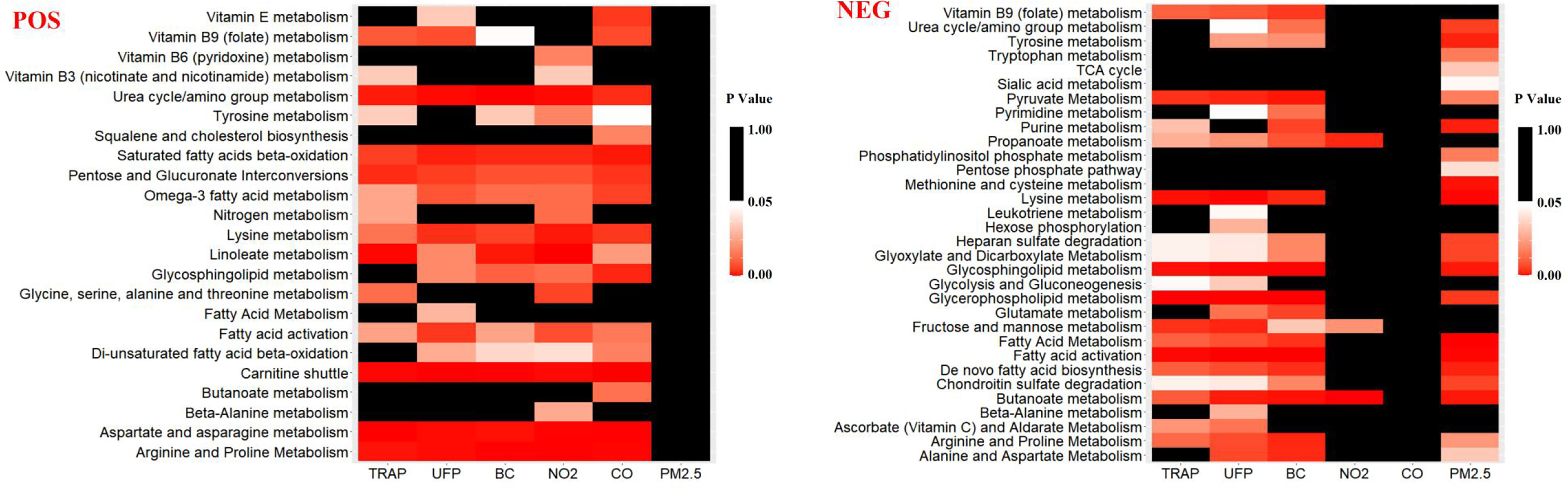 Figure 1 is a set of two heatmaps titled positive ionization mode and negative ionization mode, plotting Arginine and Proline Metabolism, Aspartate and asparagine metabolism, Beta-Alanine metabolism, Butanoate metabolism, Carnitine shuttle, Di-unsaturated fatty acid beta-oxidation, Fatty acid activation, Fatty Acid Metabolism, Glycine, serine, alanine and threonine metabolism, Glycosphingolipid metabolism, Linoleate metabolism, Lysine metabolism, Nitrogen metabolism, Omega-3 fatty acid metabolism, Pentose and Glucuronate Interconversions, Saturated fatty acids beta-oxidation, Squalene and cholesterol biosynthesis, Tyrosine metabolism, Urea cycle or amino group metabolism, Vitamin B3 (nicotinate and nicotinamide) metabolism, Vitamin B6 (pyridoxine) metabolism, Vitamin B9 (folate) metabolism, Vitamin E metabolism; and Alanine and Aspartate Metabolism, Arginine and Proline Metabolism, Ascorbate (Vitamin C) and Aldarate Metabolism, Beta-Alanine metabolism, Butanoate metabolism, Chondroitin sulfate degradation, De novo fatty acid biosynthesis, Fatty acid activation, Fatty Acid Metabolism, Fructose and mannose metabolism, Glutamate metabolism, Glycerophospholipid metabolism, Glycolysis and Gluconeogenesis, Glycosphingolipid metabolism, Glyoxylate and Dicarboxylate Metabolism, Heparan sulfate degradation, Hexose phosphorylation, Leukotriene metabolism, Lysine metabolism, Methionine and cysteine metabolism, Pentose phosphate pathway, Phosphatidylinositol phosphate metabolism, Propanoate metabolism, Purine metabolism, Pyrimidine metabolism, Pyruvate Metabolism, Sialic acid metabolism, TCA cycle, Tryptophan metabolism, Tyrosine metabolism, Urea cycle or amino group metabolism, Vitamin B9 (folate) metabolism (y-axis) across T R A P, U F P, B C, N O 2, C O, and particulate matter begin subscript 2.5 end subscript (x-axis), respectively. A scale depicting lowercase p values ranges from 0.00 to 1.00 in increments of 0.05.