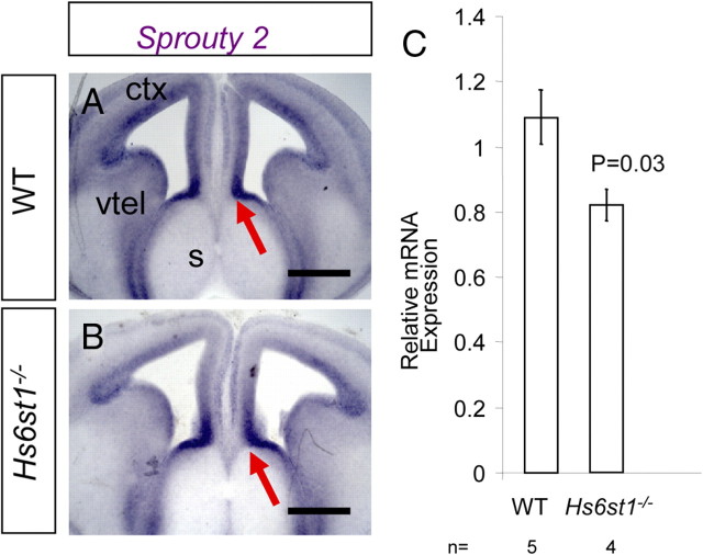 Figure 10.