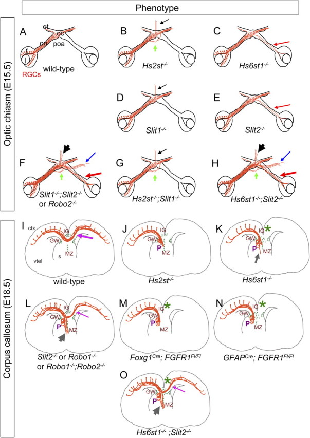 Figure 11.