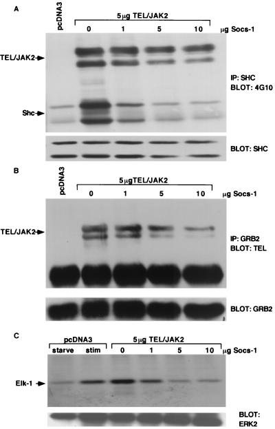 FIG. 5