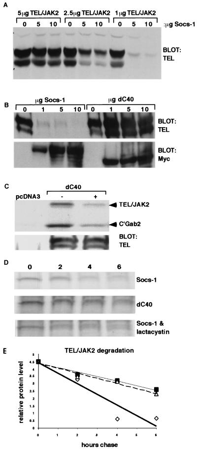 FIG. 7