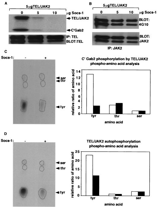 FIG. 6