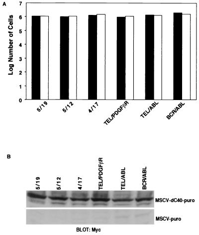 FIG. 8