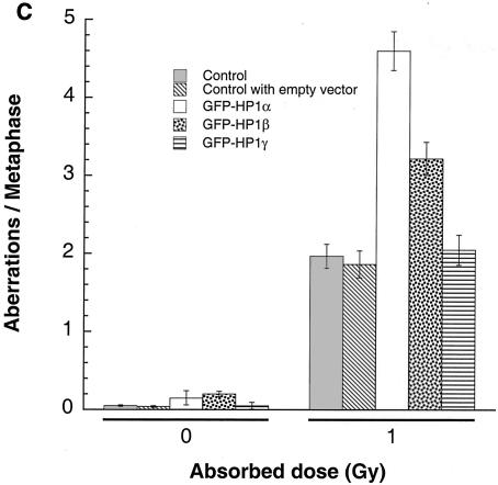 FIG. 9.