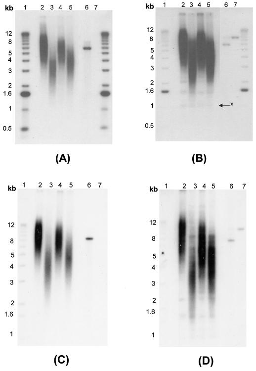 FIG. 6.