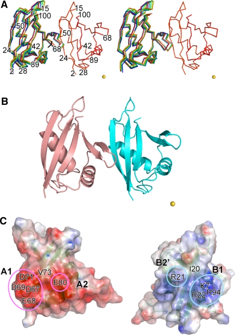 Fig. 4