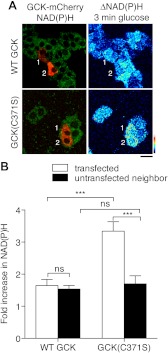 Fig. 7.